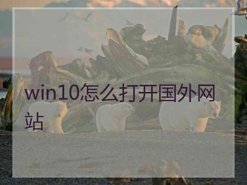win10怎么打开国外网站