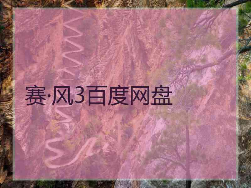 赛·风3百度网盘