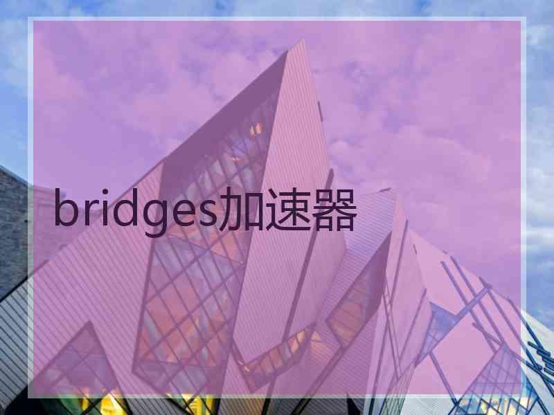 bridges加速器