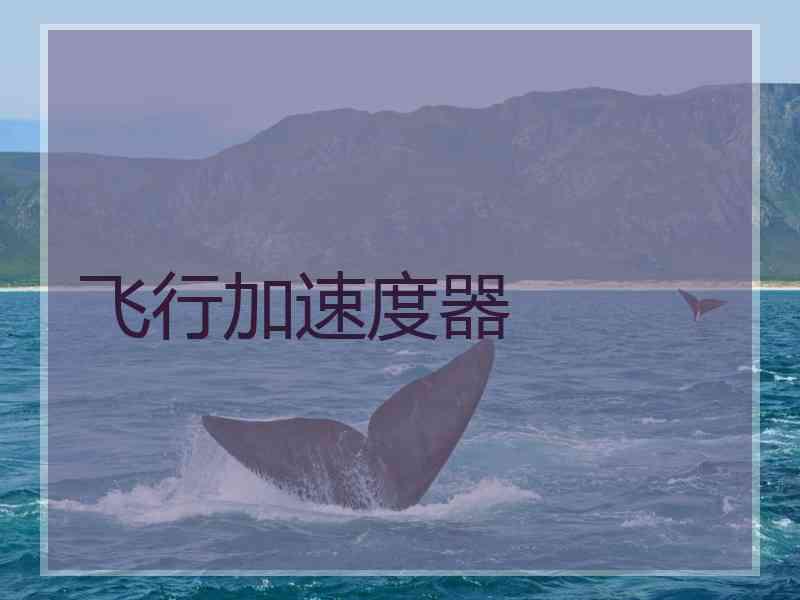 飞行加速度器
