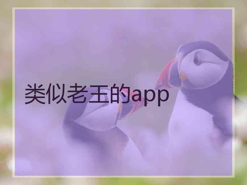 类似老王的app