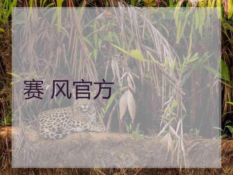赛 风官方