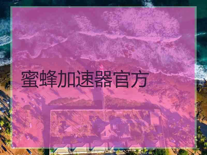 蜜蜂加速器官方