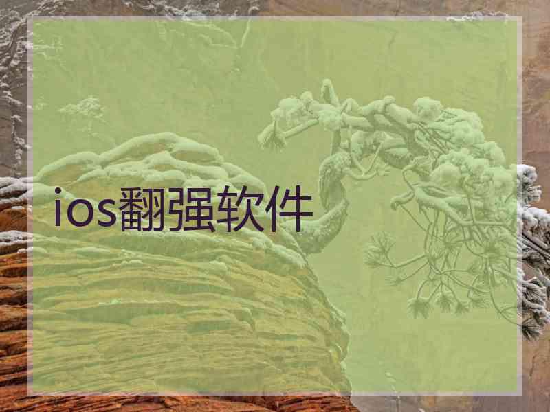 ios翻强软件