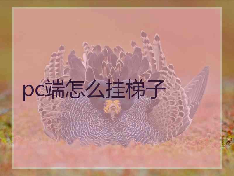 pc端怎么挂梯子