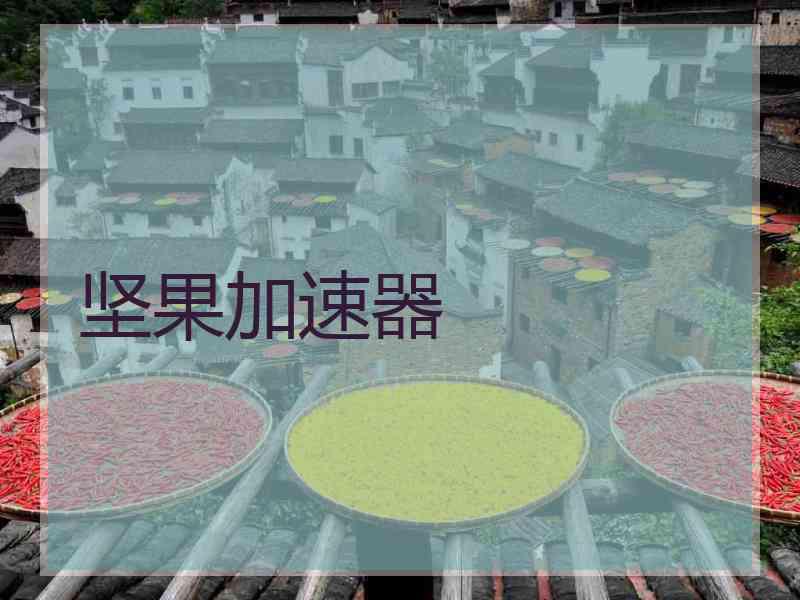坚果加速器
