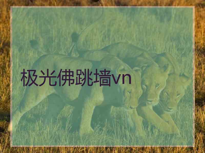 极光佛跳墙vn