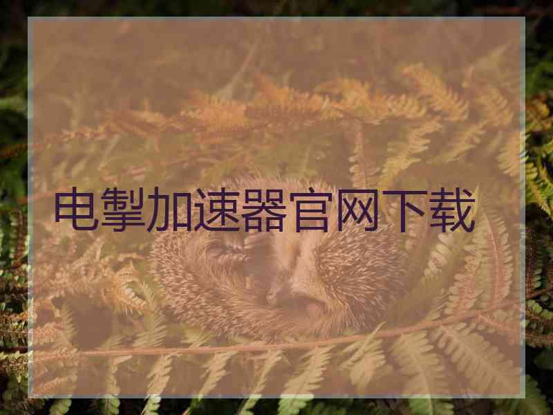 电掣加速器官网下载