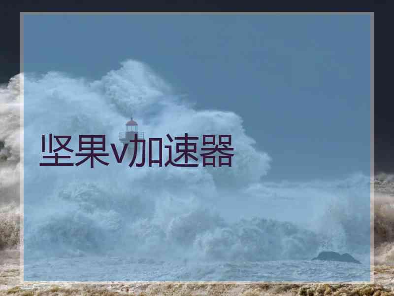 坚果v加速器