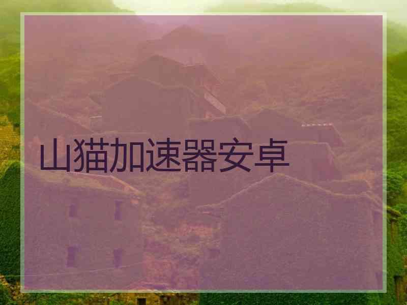 山猫加速器安卓