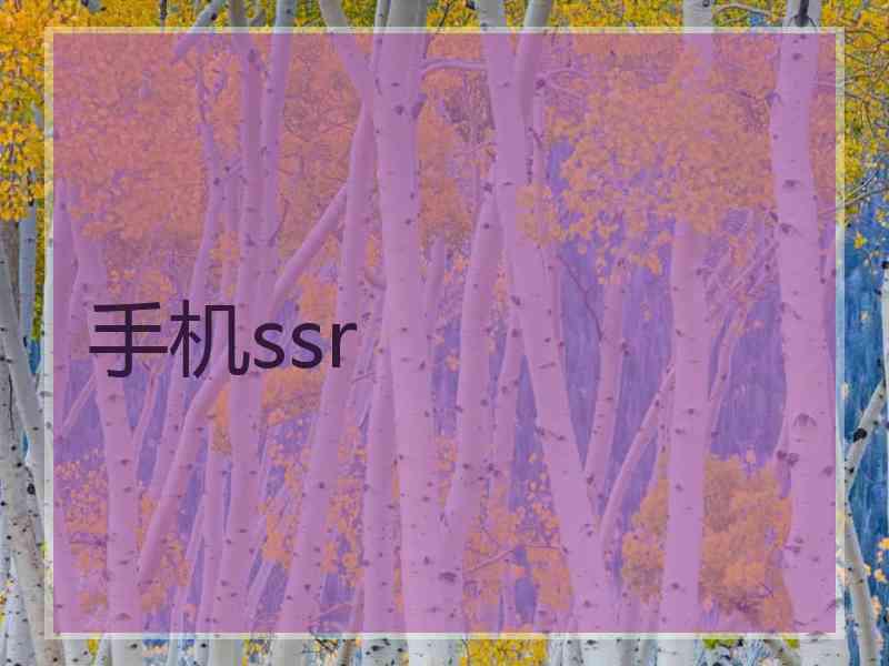 手机ssr