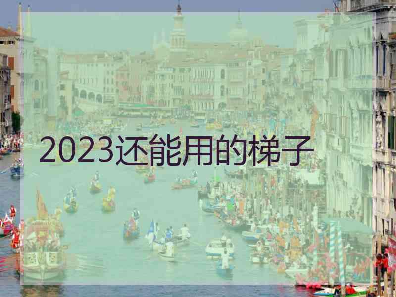 2023还能用的梯子
