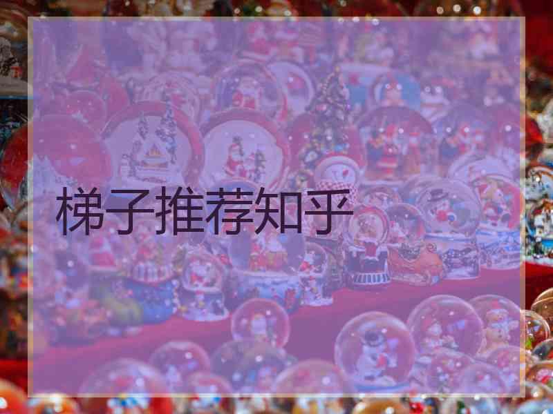 梯子推荐知乎