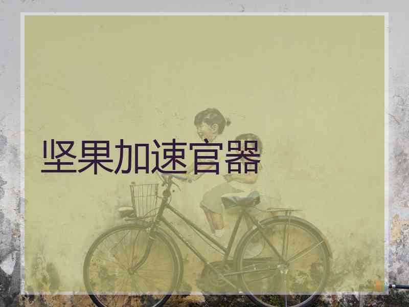 坚果加速官器