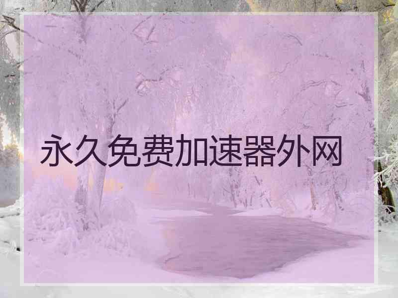 永久免费加速器外网