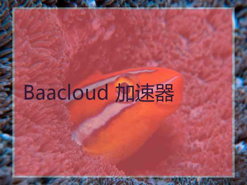 Baacloud 加速器