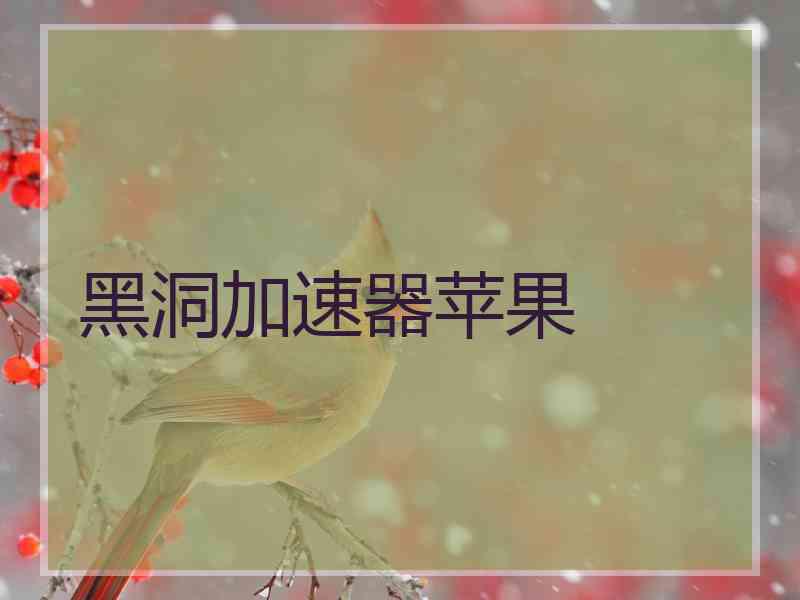 黑洞加速器苹果
