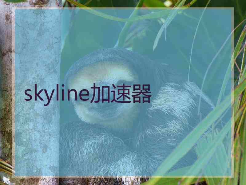 skyline加速器