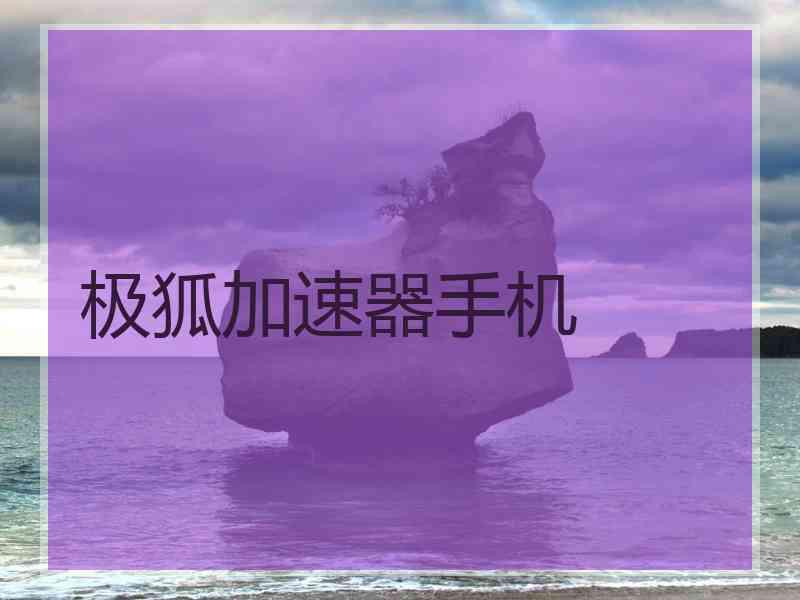 极狐加速器手机