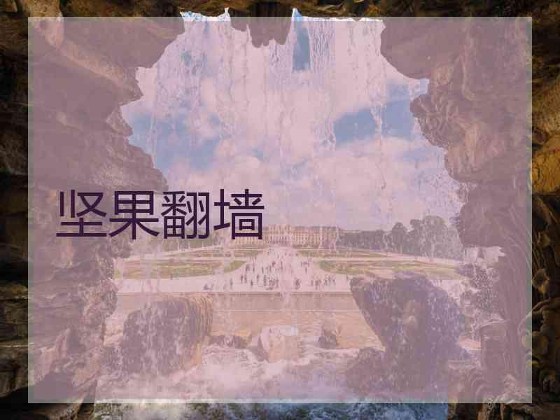 坚果翻墙