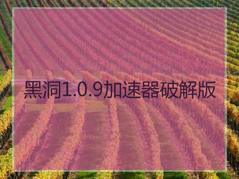 黑洞1.0.9加速器破解版