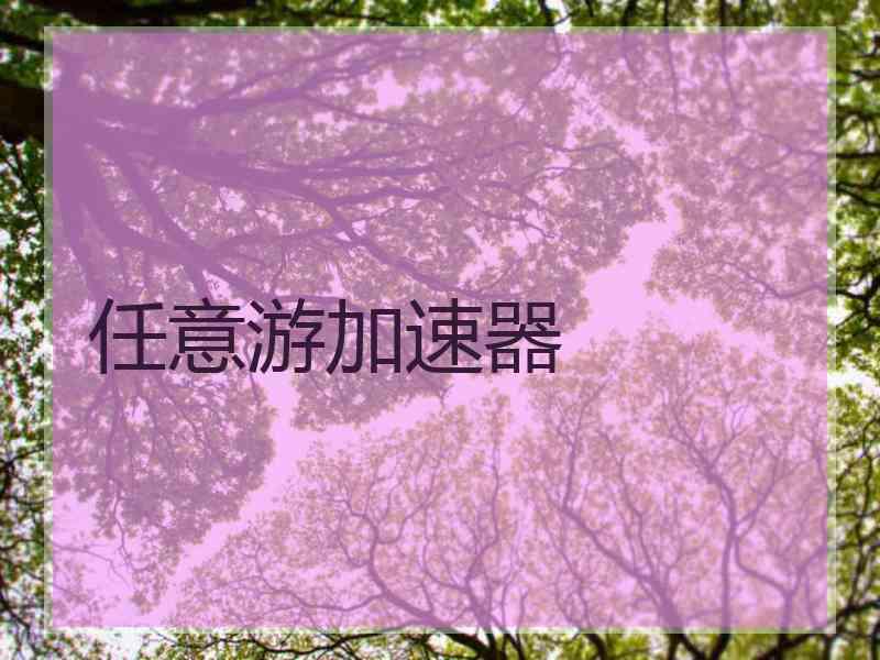 任意游加速器