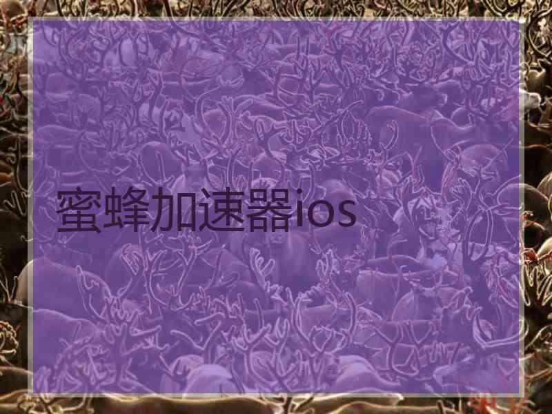 蜜蜂加速器ios