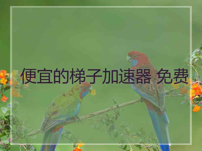 便宜的梯子加速器 免费