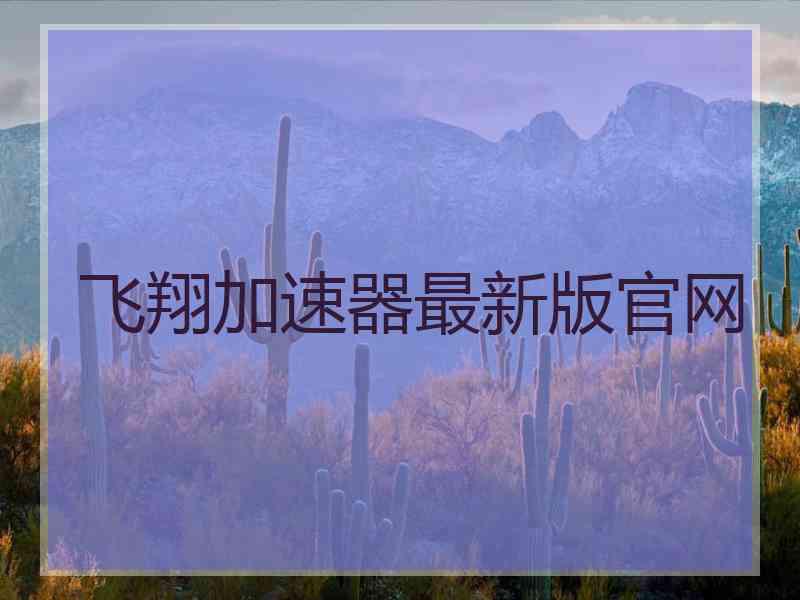 飞翔加速器最新版官网