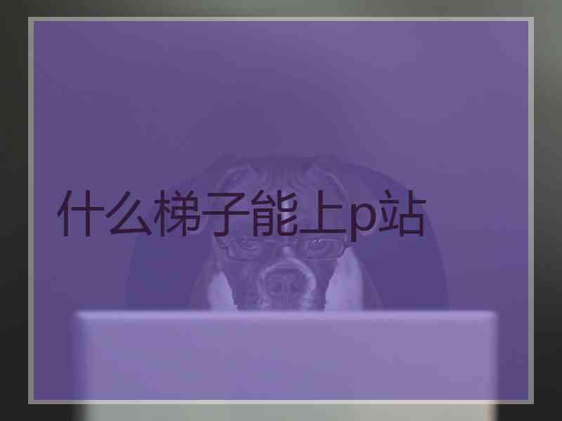 什么梯子能上p站