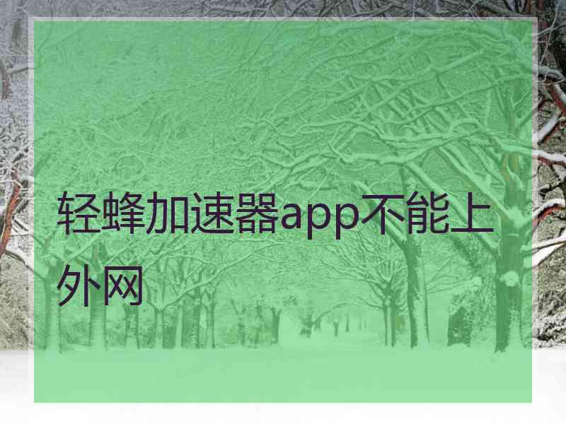 轻蜂加速器app不能上外网