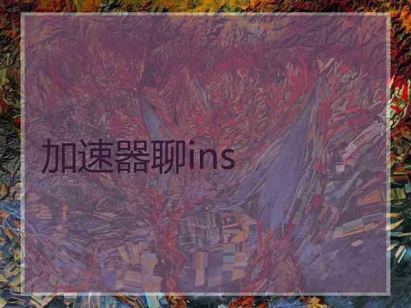 加速器聊ins