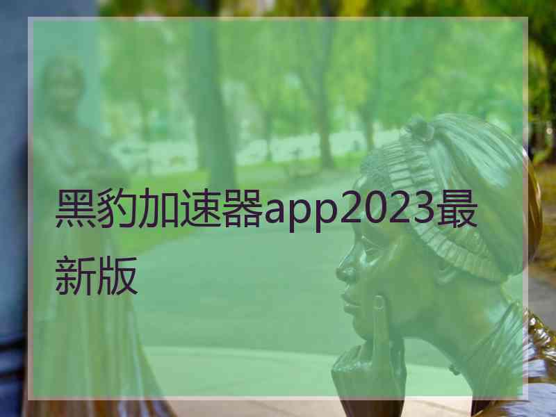 黑豹加速器app2023最新版