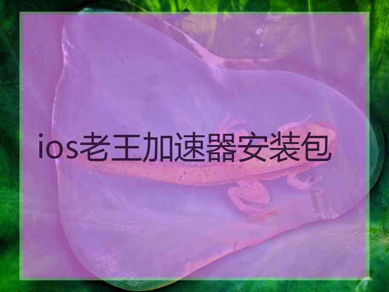 ios老王加速器安装包
