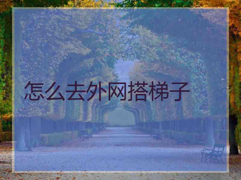 怎么去外网搭梯子