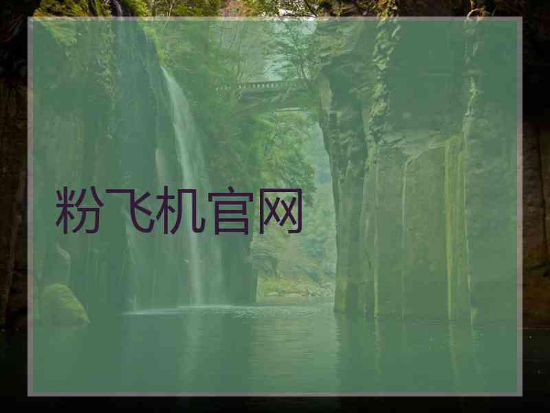 粉飞机官网