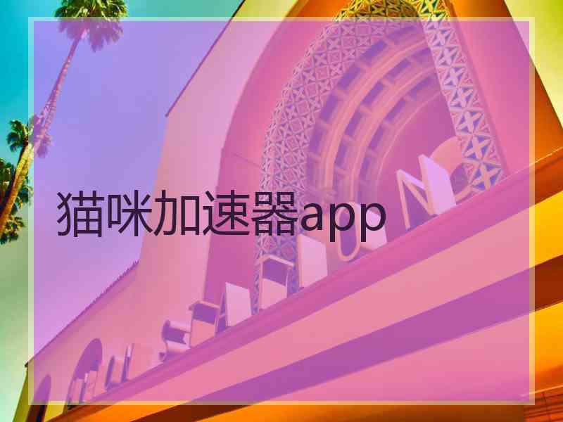 猫咪加速器app