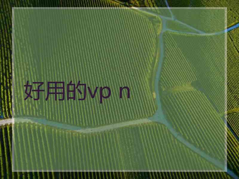 好用的vp n