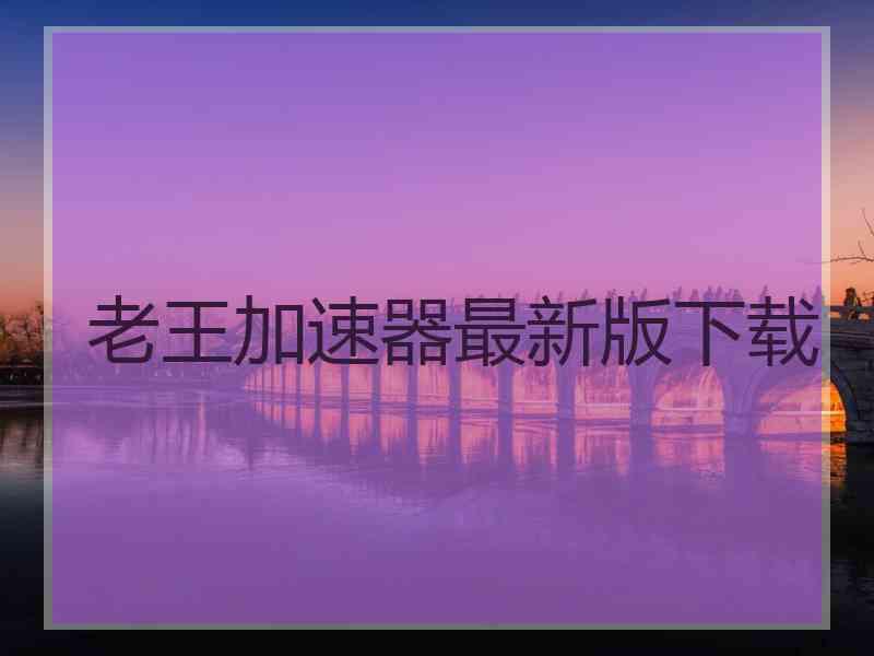 老王加速器最新版下载