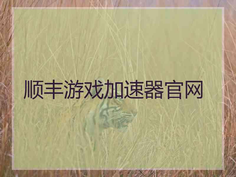 顺丰游戏加速器官网