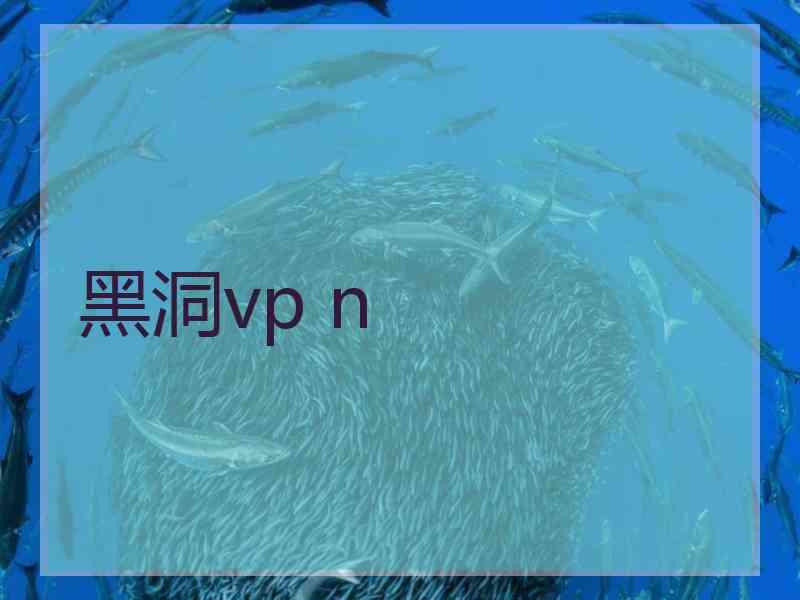 黑洞vp n