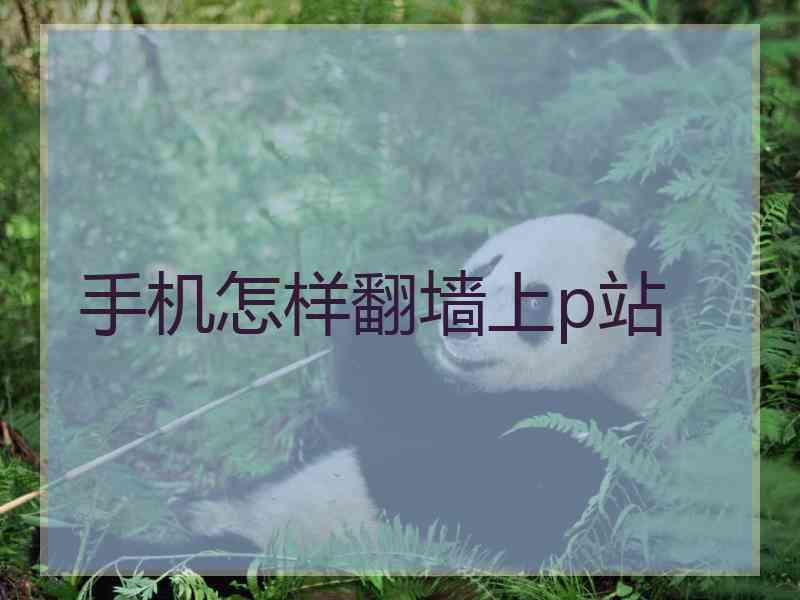 手机怎样翻墙上p站