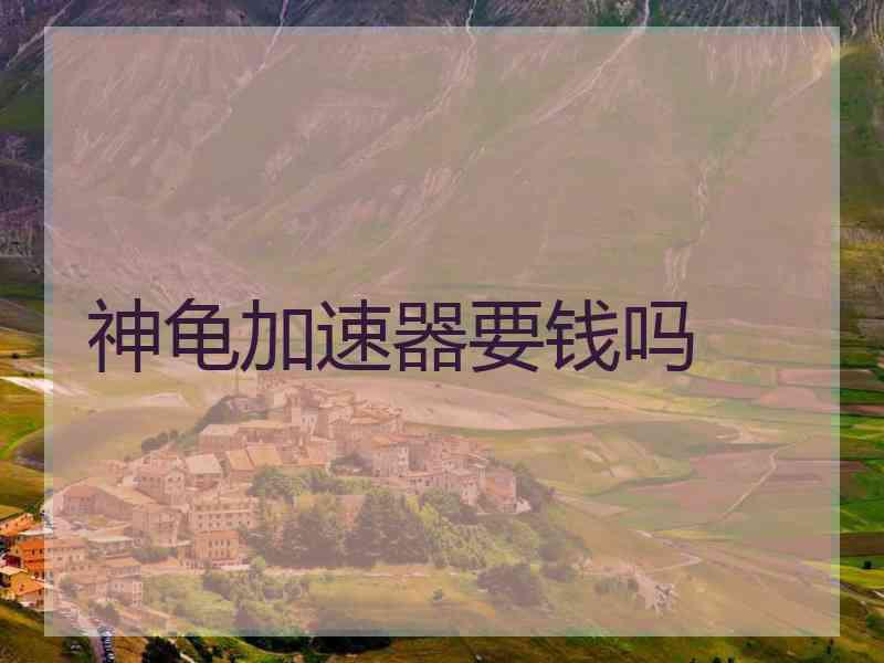 神龟加速器要钱吗