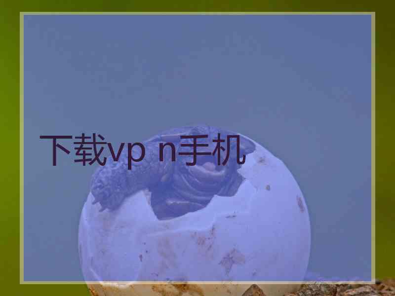 下载vp n手机