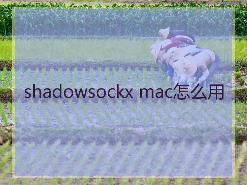 shadowsockx mac怎么用