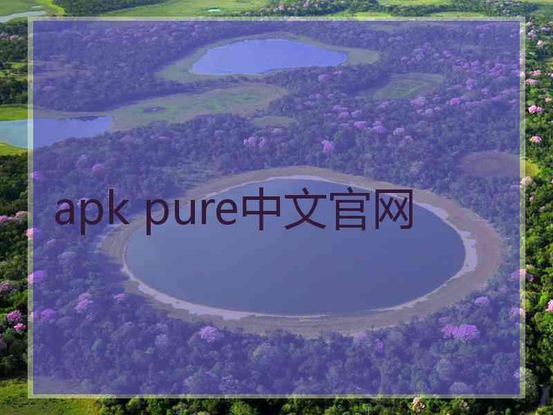 apk pure中文官网