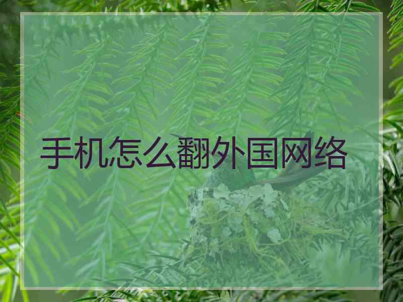 手机怎么翻外国网络