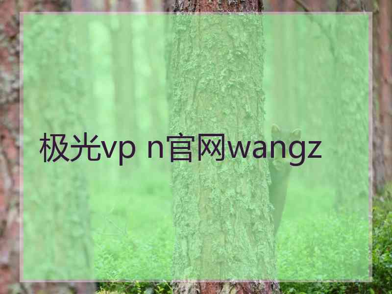 极光vp n官网wangz