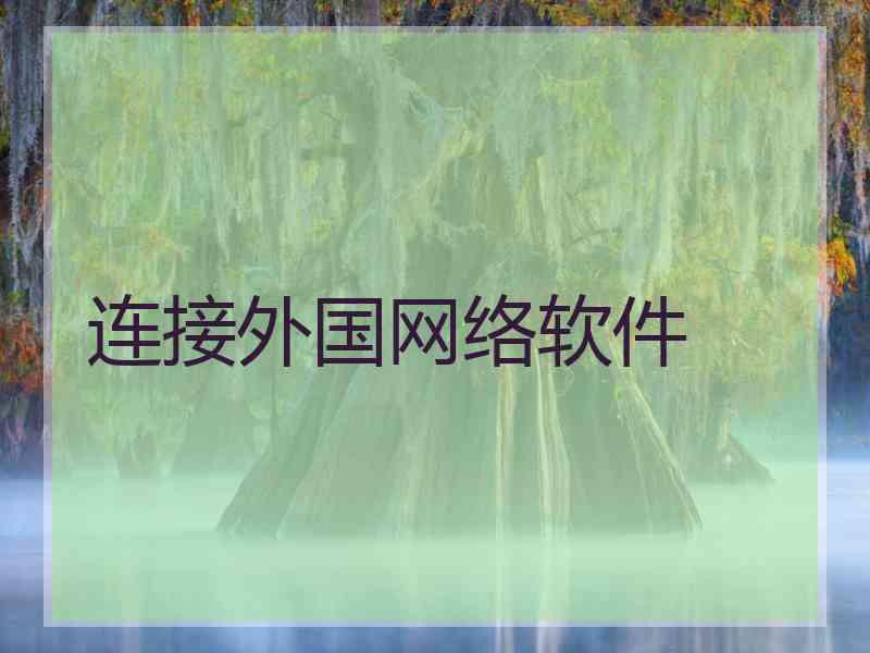 连接外国网络软件