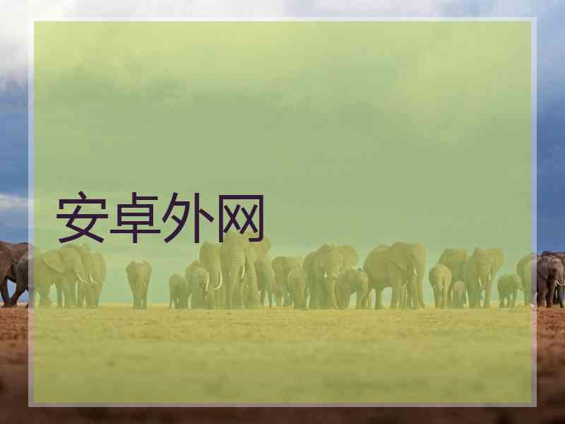 安卓外网